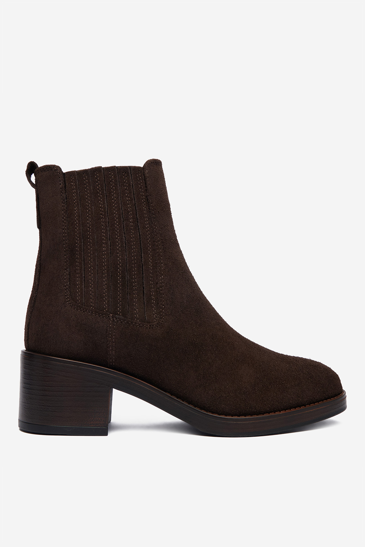 Botine