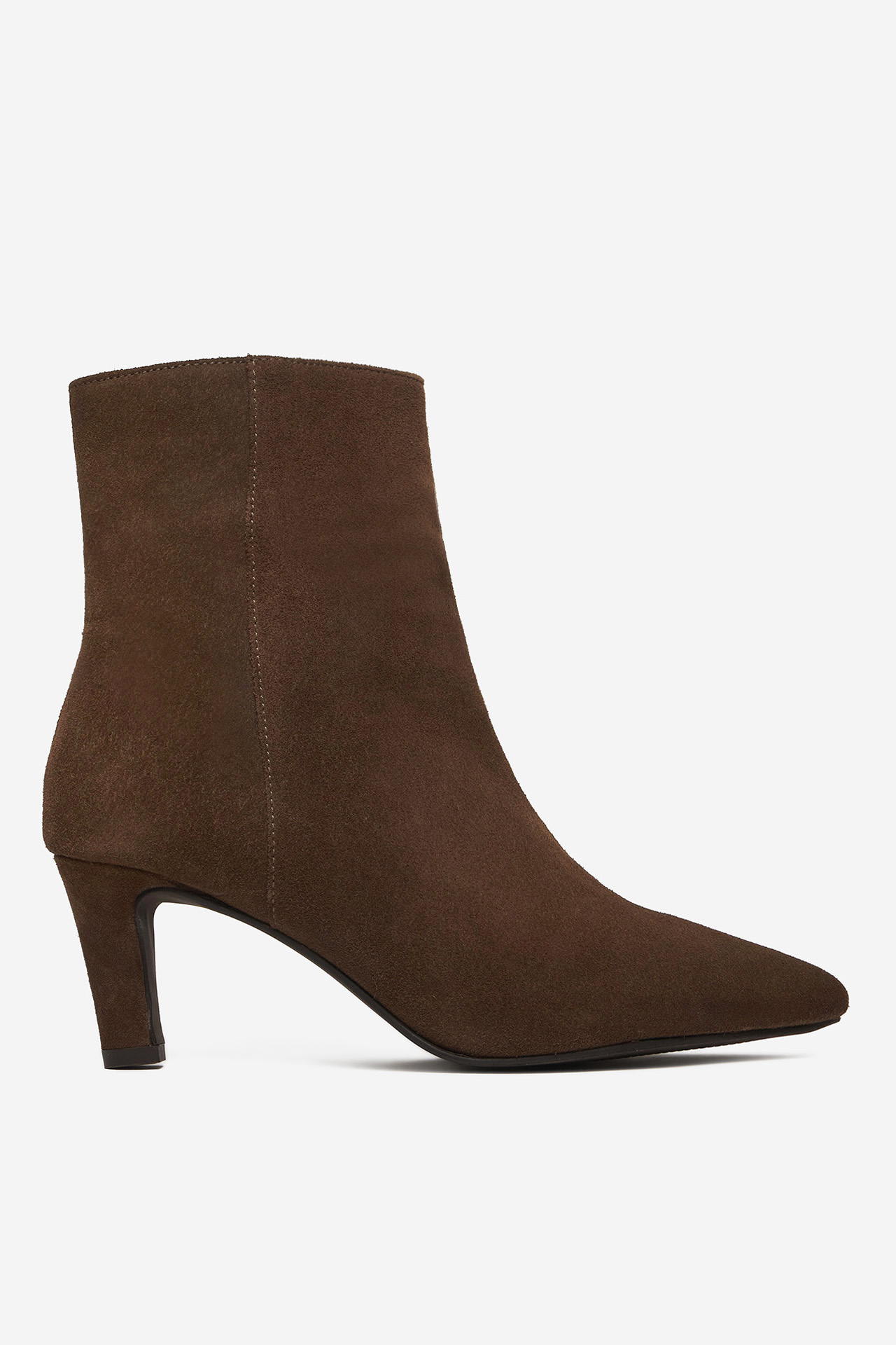 Botine
